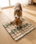 Beagle con el morro entre las tiras de la alfombra olfativa Tersella Sniff