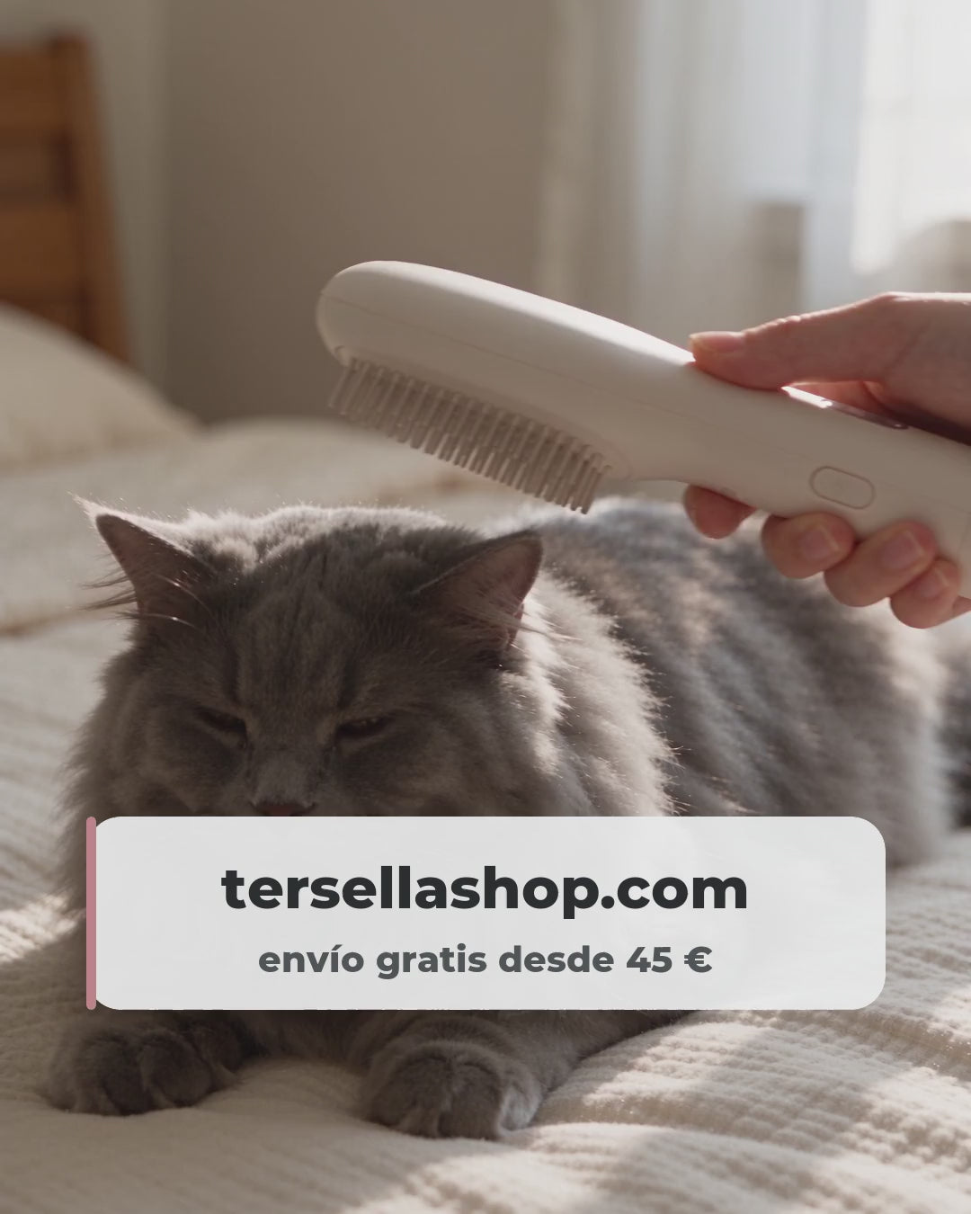 Vídeo: el cepillo de vapor baja por el lomo del gato