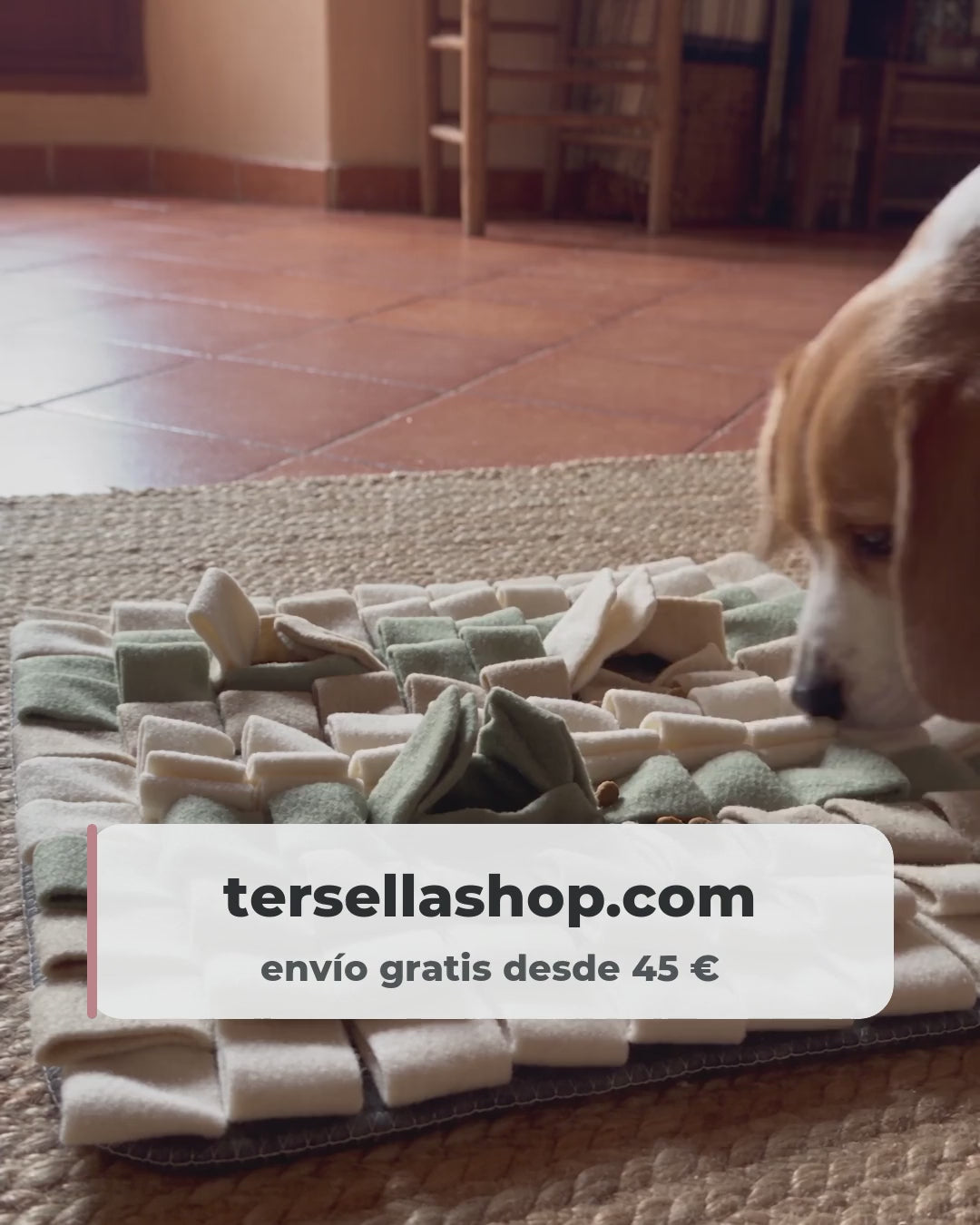 Vídeo: el beagle hurga entre las tiras y saca una croqueta